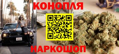 стаф Гусев