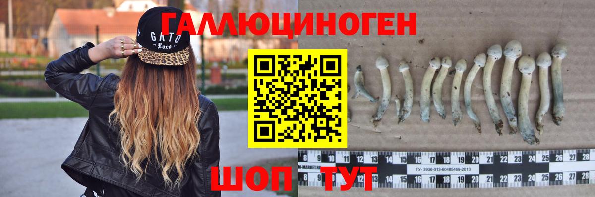 Чехов  Галлюциногенные грибы прущие грибы  Вход с VPN 