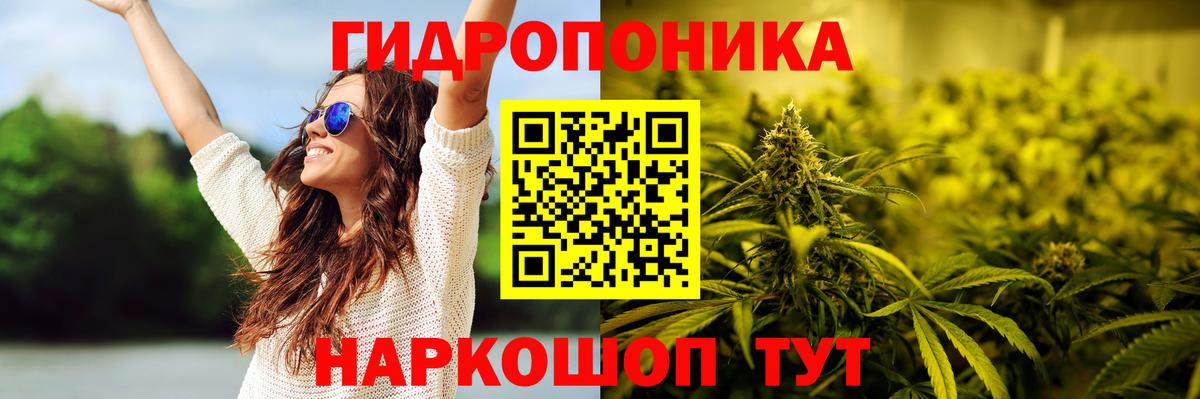 Чехов  Бошки Шишки OG Kush  Вход с VPN  МАРИХУАНА Bruce Banner 